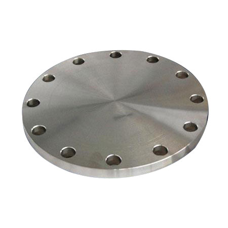 Flange Buta Stainless Steel